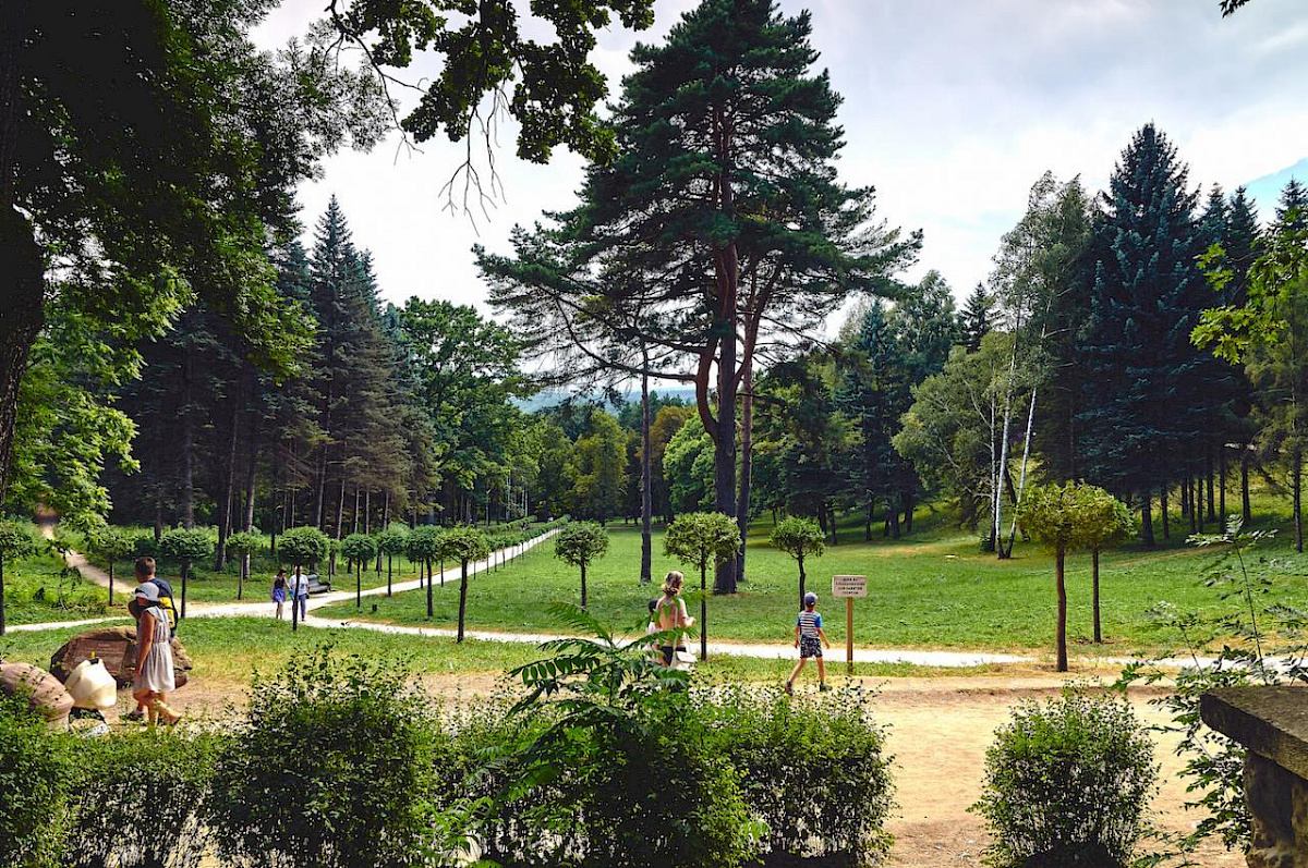 Аллея туи штамбовой в честь 70-летия Победы в ВОВ