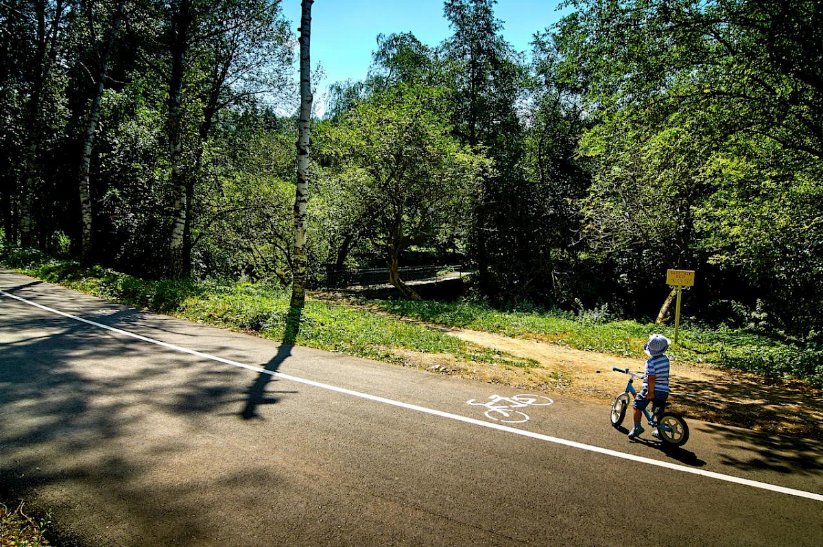 Национальный парк Кисловодска