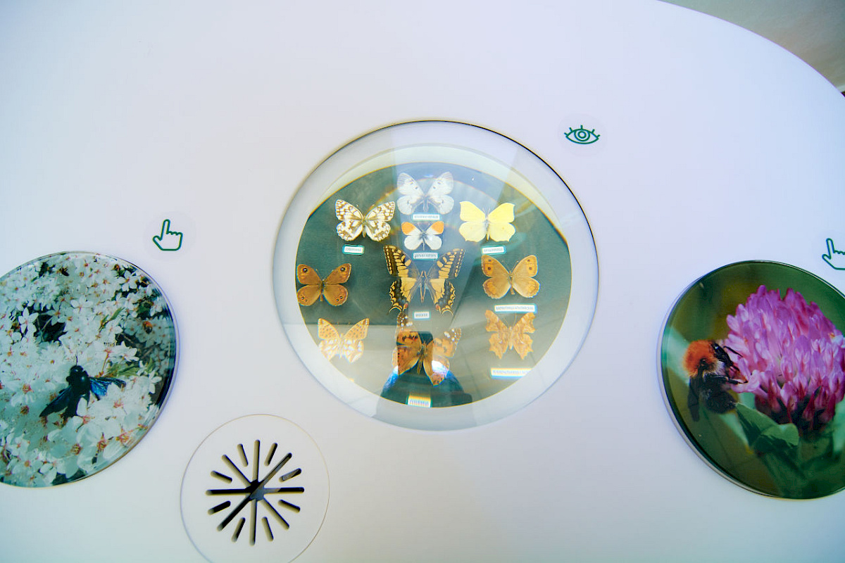 Визит-центр &mdash; фото 10