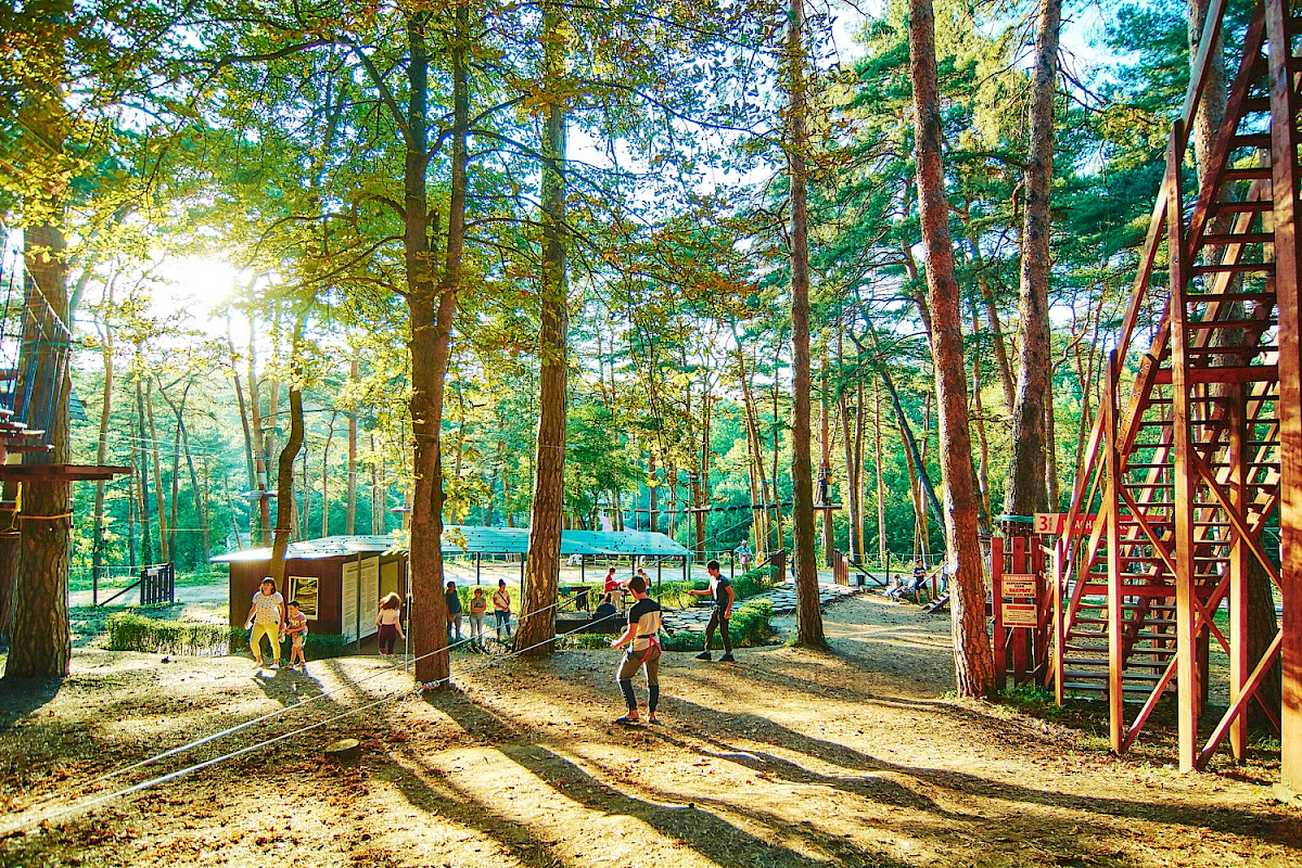 Веревочный городок &mdash; фото 3