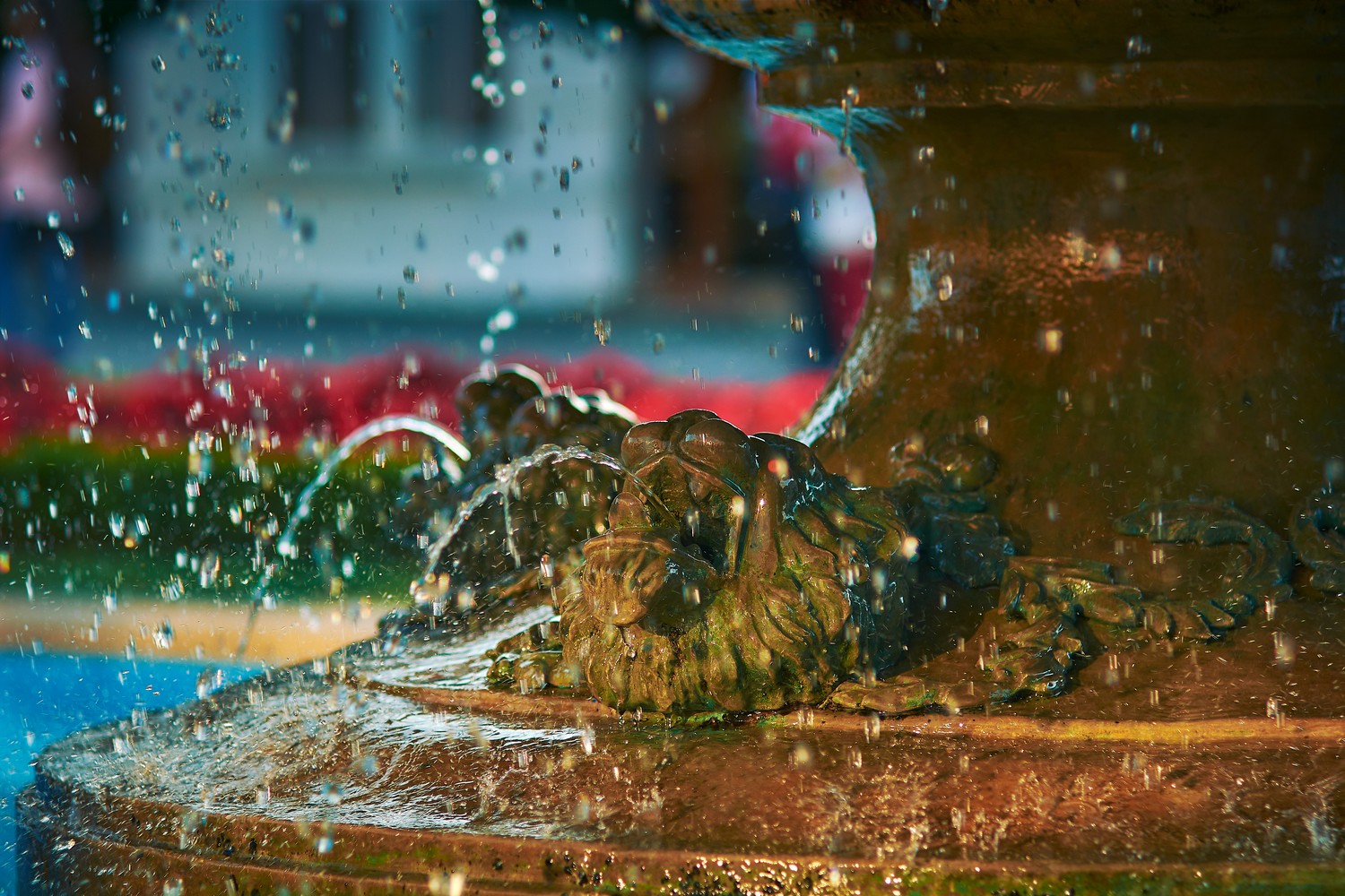 Фонтан &laquo;Лягушки&raquo;