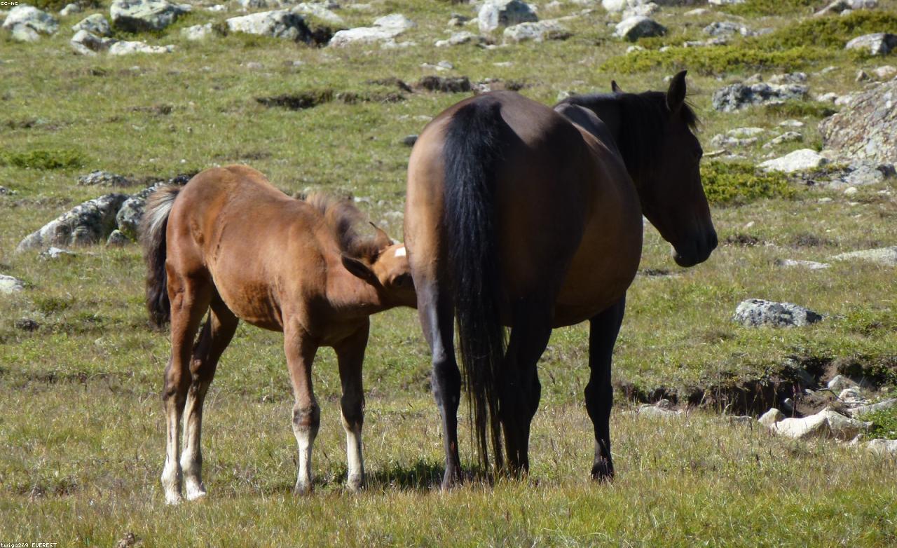 Кабардино-Балкарская Республика