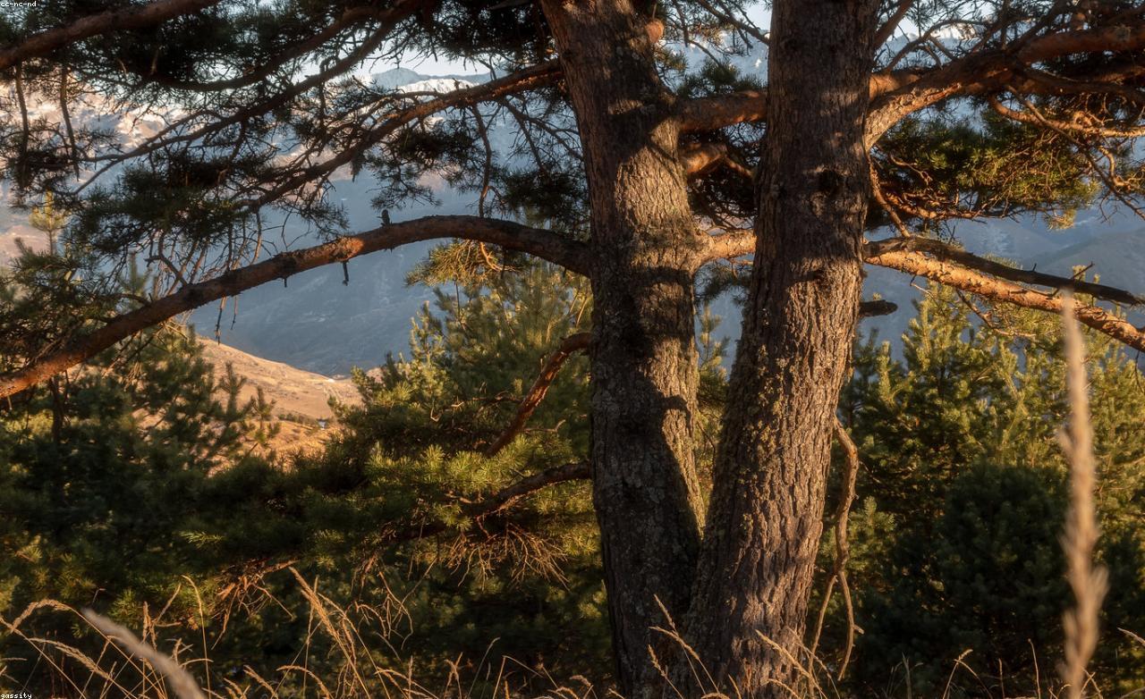 Республика Северная Осетия